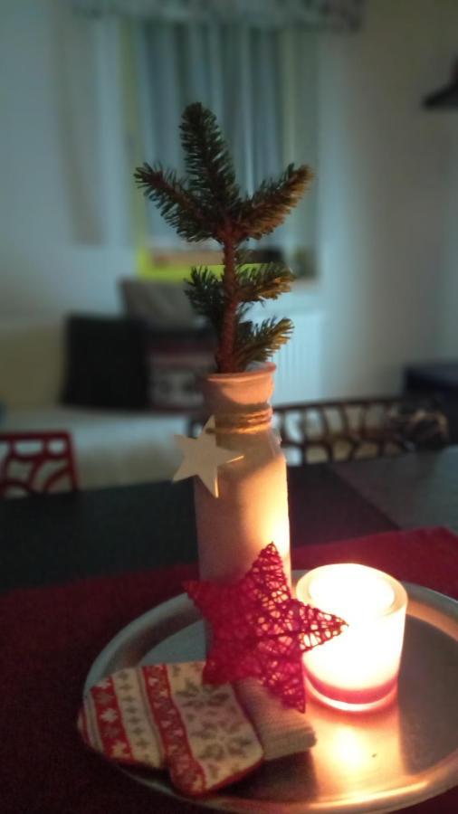Harrachovsky Apartman מראה חיצוני תמונה